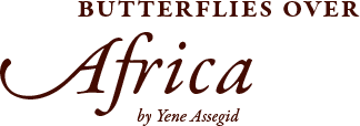 Butterflies Over Africa by Yene Assegid